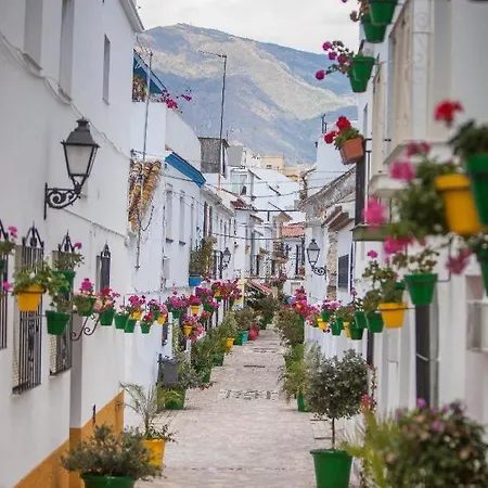 Alma Estepona
