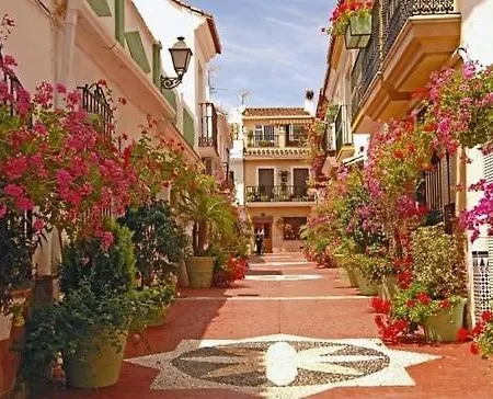 Daire Alma Estepona